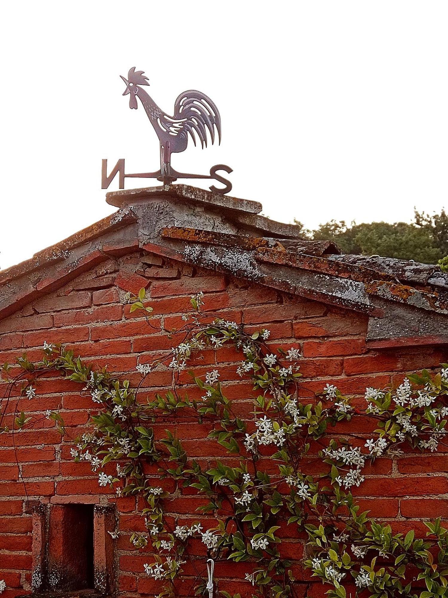 Casale - La Camera Di Leda Lamporecchio Exterior foto